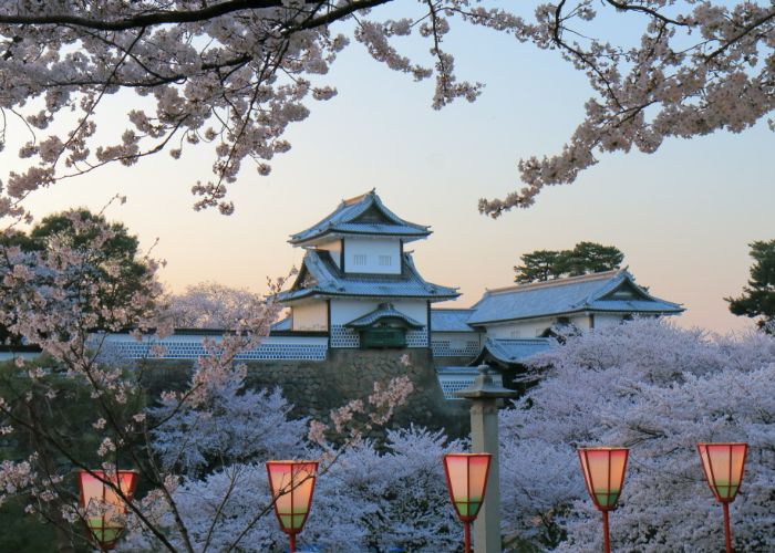 Kanazawa Castle Park at sunset. In the foreground there are glowing red lanterns and blooming cherry blossom trees.